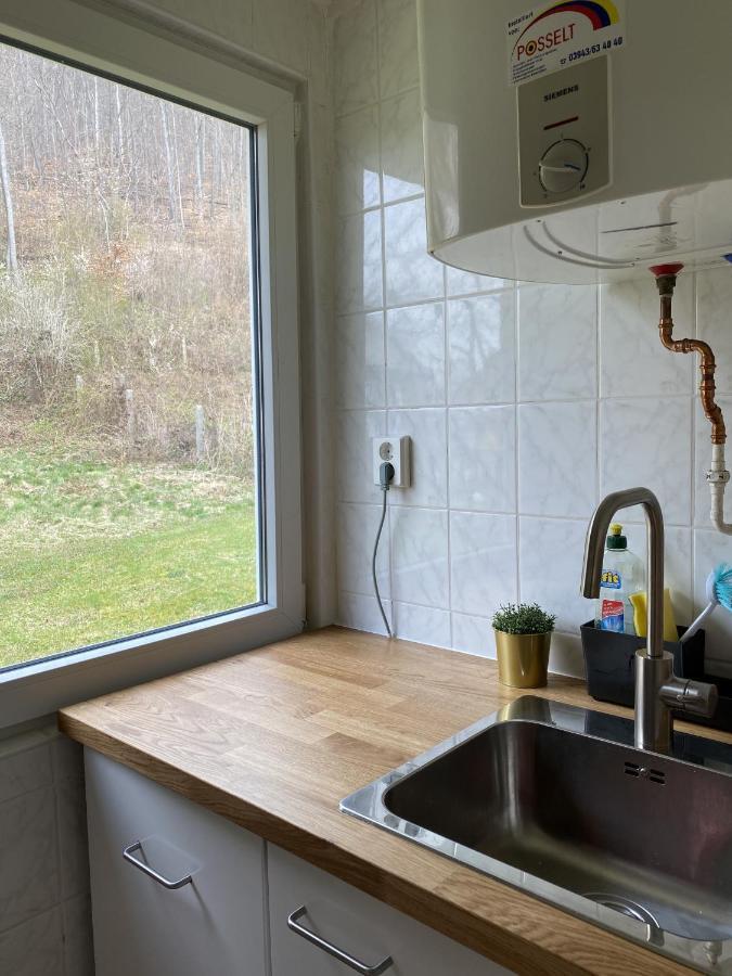 Ferienhaus "Am Reiterhof" Villa Wernigerode Ngoại thất bức ảnh