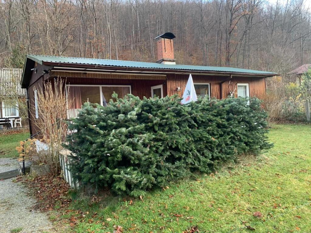 Ferienhaus "Am Reiterhof" Villa Wernigerode Ngoại thất bức ảnh